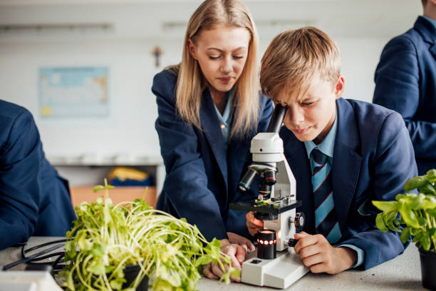 studenci patrząc w dół mikroskop - microbiological culture zdjęcia i obrazy z banku zdjęć