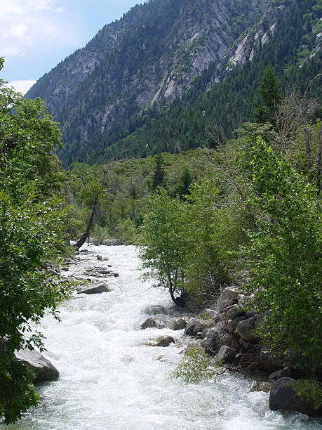 istock Big Cottonwood canyon 91103335