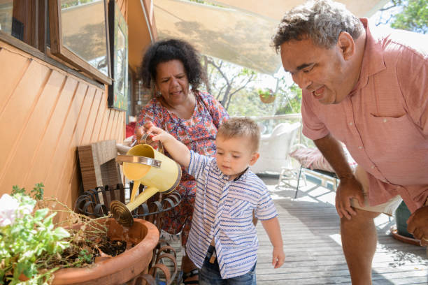 мальчик полива растений с бабушкой и дедушкой - австралийские аборигены стоковые фото и изображения