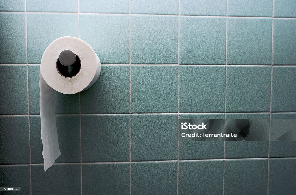 Toilet paper  Toilet Paper Stock Photo