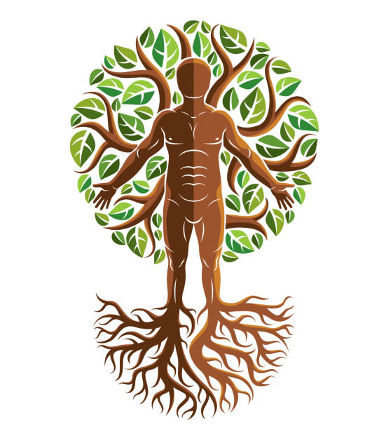 istock Vector graphic illustration of strong male, body silhouette standing on white background and made using tree roots and green leaves. Tree of life metaphor, family roots. 911041808
