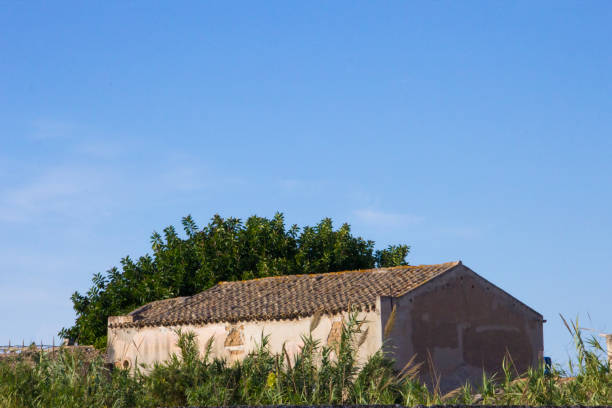 istock An old rustic outbuilding in Cagliari, Sardinia, Italy 911042900