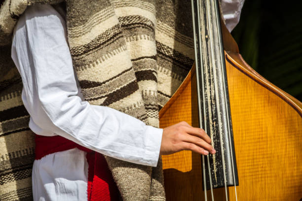 istock Right arm playing a double bass 911042976