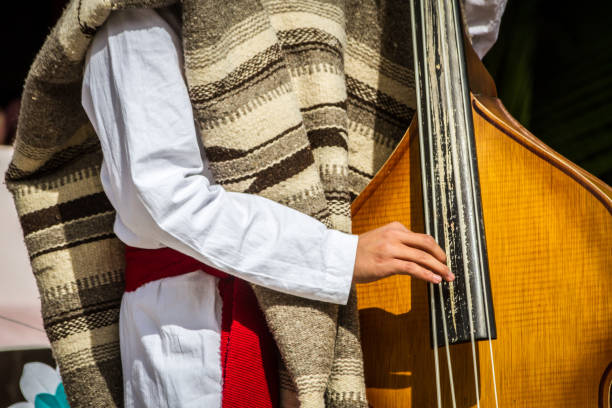 istock Right arm playing a double bass 911043954