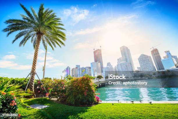 Sunshine Miami Stock Photo - Download Image Now - Miami, Florida - US State, Urban Skyline