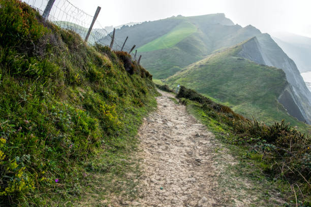 istock Footpath in the mountains. Zumaya, Spain 911049840