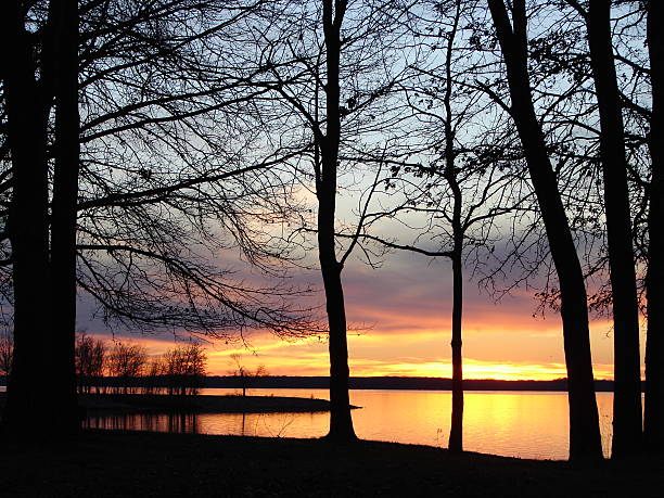 istock Silhouette trees at sunset lake 91105414