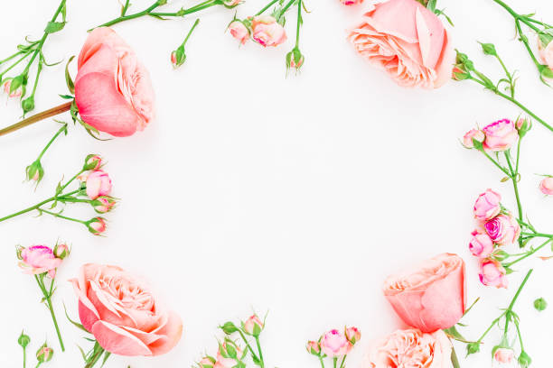 istock Round frame with pink roses on white background. Flat lay, top view. Floral background. 911055342