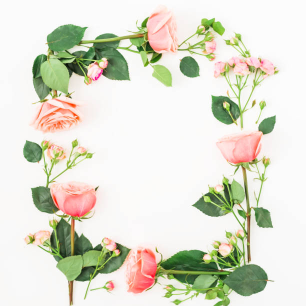 istock Floral frame pattern with roses and leaves isolated on white background. Flat lay, top view 911056288