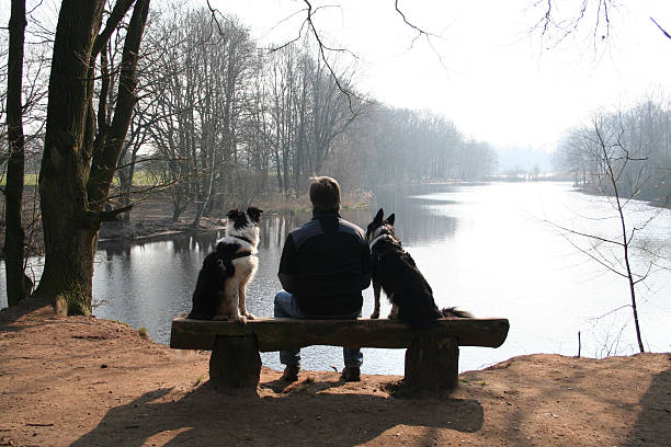 istock Man and dogs in winter. 91105773