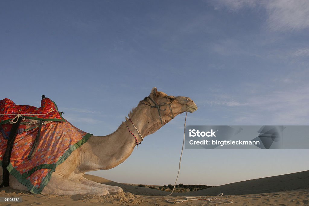Fahrt durch die Wüste - Lizenzfrei Afrikanische Kultur Stock-Foto