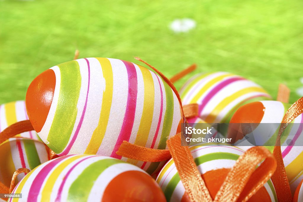 Colorful Easter Eggs  Animal Egg Stock Photo