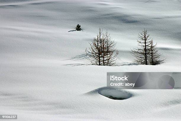 Escena De Invierno Foto de stock y más banco de imágenes de Alpes Europeos - Alpes Europeos, Animales salvajes, Azul