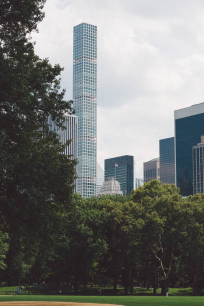istock Trees And Skyscrapers Against Sky 911065540