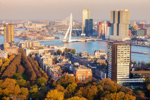 istock Aerial panorama of Rotterdam 911065928