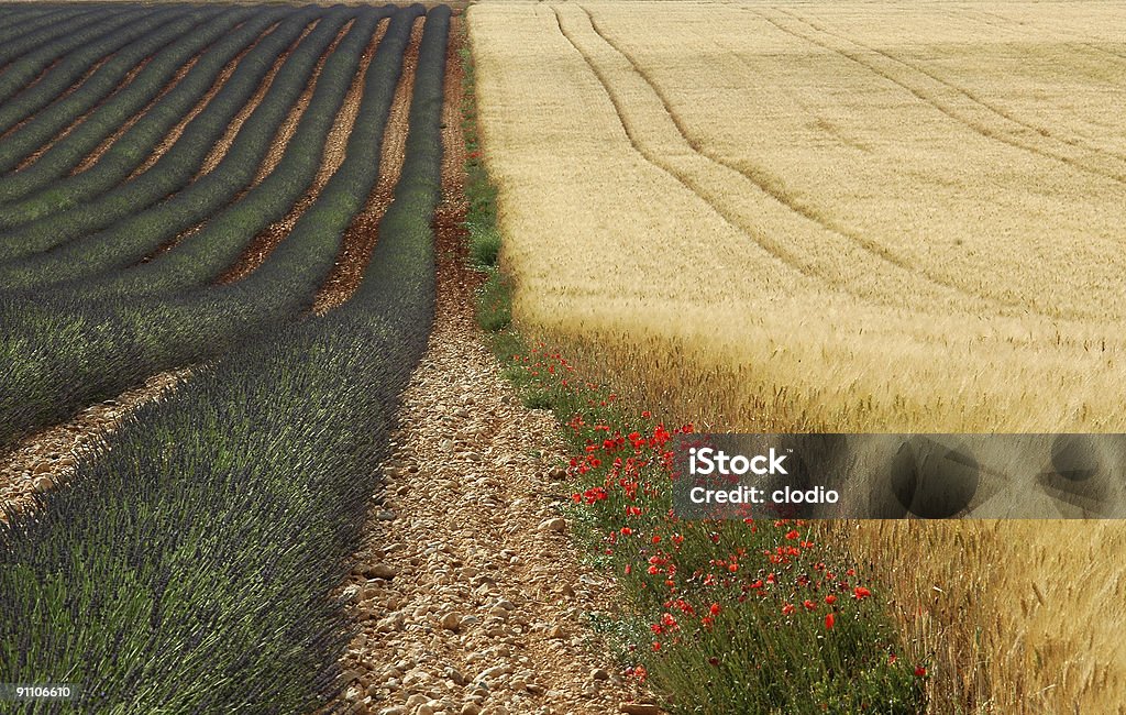 ラベンダー、小麦、poppies のヴァレンソール高原（プロヴァンス） - カラー画像のロイヤリティフリーストックフォト