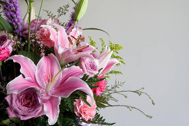 восточная лилия - lily pink stargazer lily flower стоковые фото и изображения