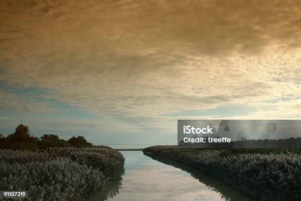 Rosso Alba - Fotografie stock e altre immagini di Acqua - Acqua, Albero, Ambientazione esterna