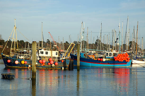 Moored fishing boats stock photo
