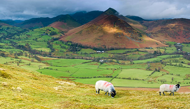 istock Newlands Valley, Lake District, UK 91107301
