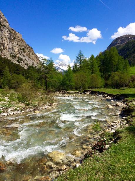 istock Alpine creek in spring Dolomites Italy 911080350