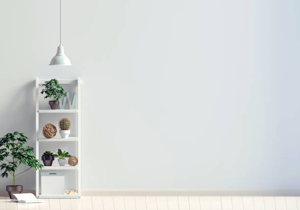 istock Modern interior with shalf, plant and lamp. Wall mock up. 3d illustration 911090348