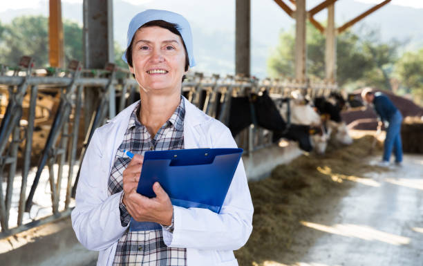 istock Woman veterinarian with clipboard at cowshed 911090618