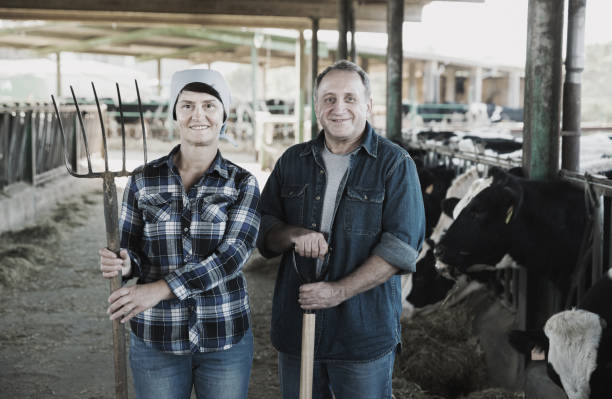istock Successful owners of dairy farm 911090662