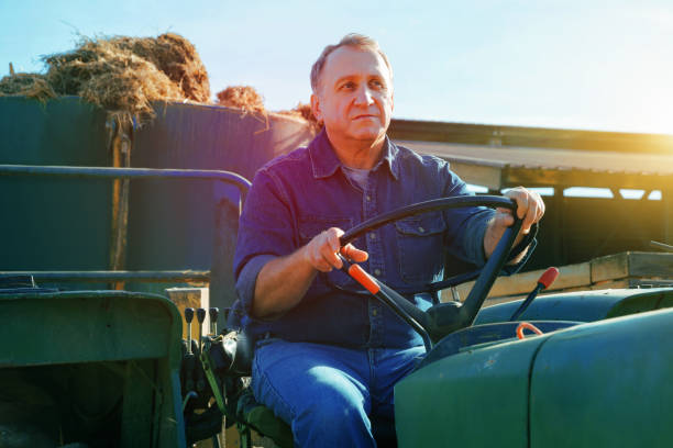 istock Senior aged man working on small farm tractor 911091220