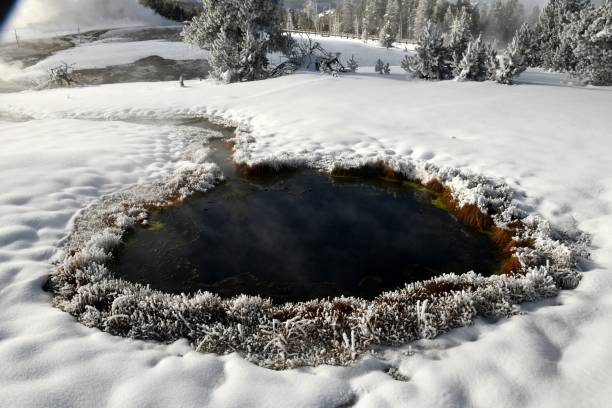 istock Old Faithful Geyser Basin 911101820