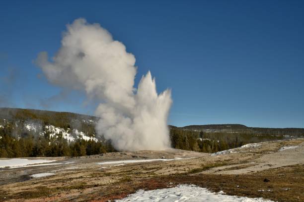 istock Old Faithful Geyser Basin 911101948