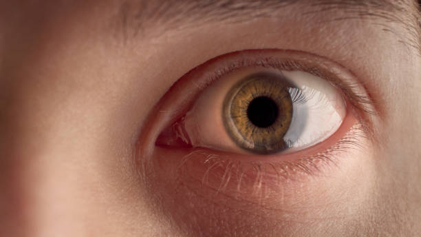 istock Eye of a man macro shot. 911115922