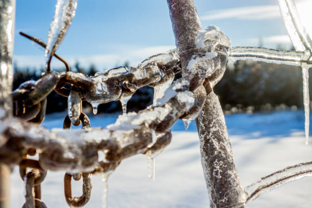 Forbidden to the visitor Barrier and chain in the ice. In the background a fir forest. wood and wire fence designs pictures stock pictures, royalty-free photos & images