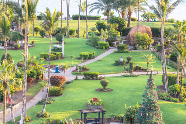 istock Green park on Gran Canaria 911139202