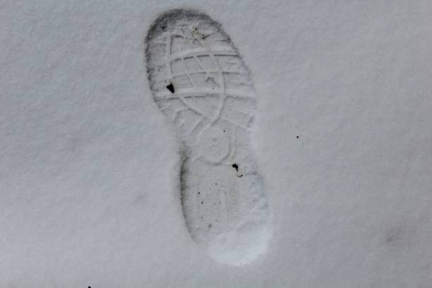 istock Shoe Print in the Snow 911143232