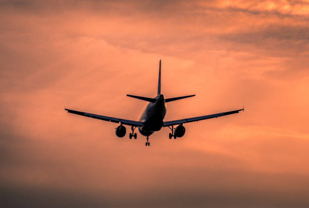 istock Airplane landing at sunset 911147382