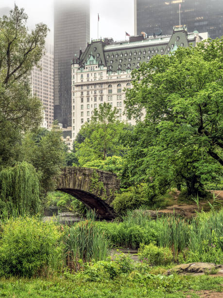 istock Gapstow bridge Central Park, New York City 911149912