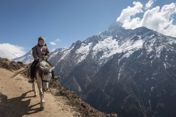 Horse against a mountain landscape.