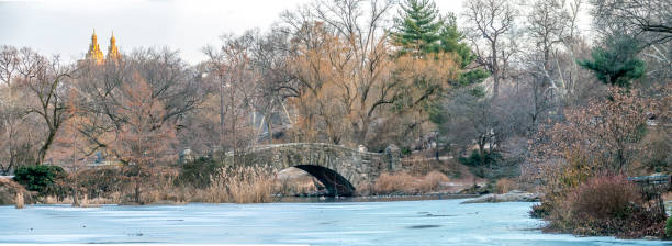 istock Gapstow bridge Central Park, New York City 911153424
