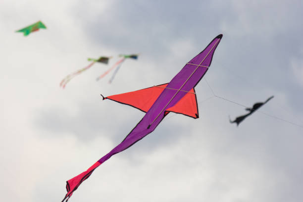 istock The kite flying in the sky 911162280