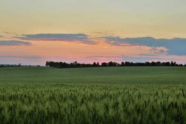 istock green field after sunset in the evening 911182938