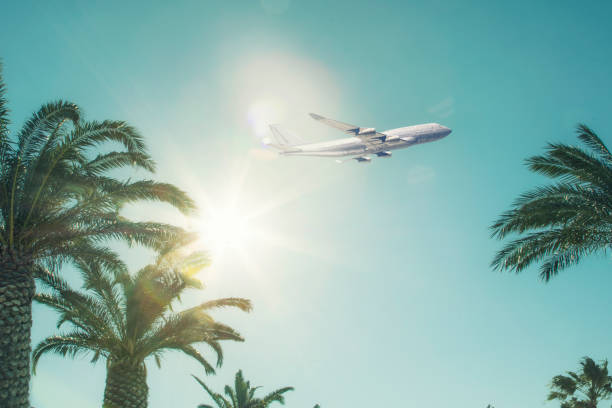 istock passenger plane flight take off over tropic land 911192224