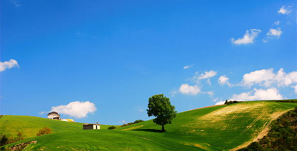 Bright summer landscape stock photo