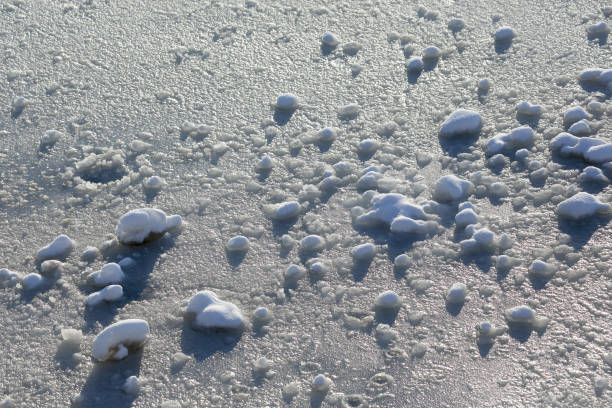 clumps of snow on the ice
