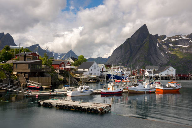 istock panoramic view at Reine in the Lofoten 911228408