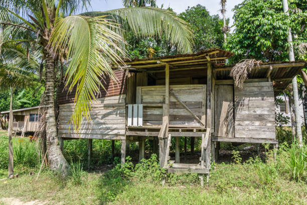 istock Old wooden house by the coconut tree 911228570