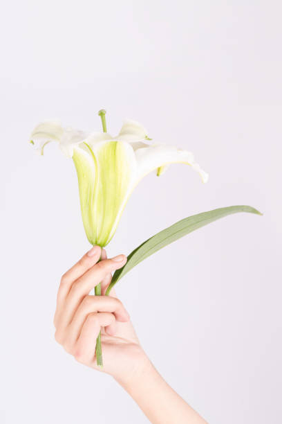 istock Woman holding lily flower 911231430