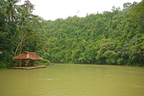 istock Cruising up the green Loboc River in Bohol 911235510