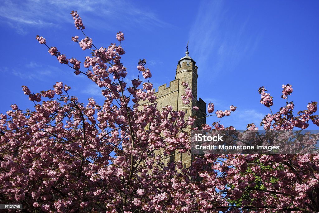 Churchyard blossoms  Architecture Stock Photo