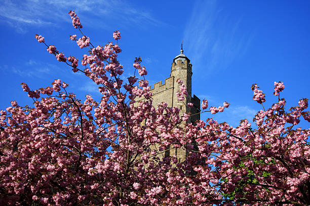 Churchyard blossoms  norman uk tree sunlight stock pictures, royalty-free photos & images